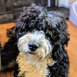 Meet your Posher, Eric